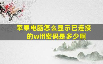 苹果电脑怎么显示已连接的wifi密码是多少啊