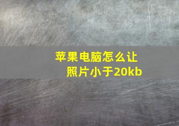 苹果电脑怎么让照片小于20kb