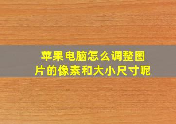 苹果电脑怎么调整图片的像素和大小尺寸呢