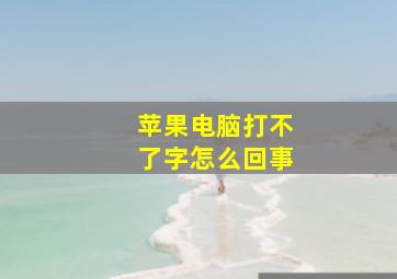 苹果电脑打不了字怎么回事