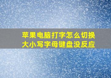 苹果电脑打字怎么切换大小写字母键盘没反应