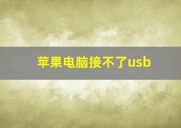 苹果电脑接不了usb