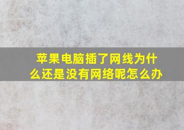 苹果电脑插了网线为什么还是没有网络呢怎么办