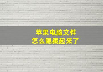 苹果电脑文件怎么隐藏起来了