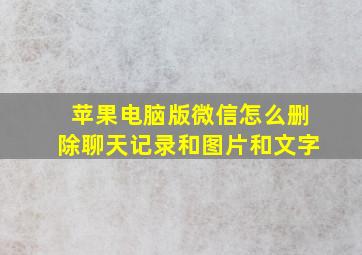 苹果电脑版微信怎么删除聊天记录和图片和文字