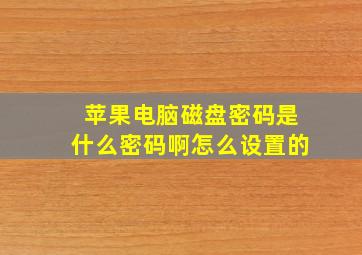 苹果电脑磁盘密码是什么密码啊怎么设置的