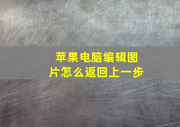 苹果电脑编辑图片怎么返回上一步