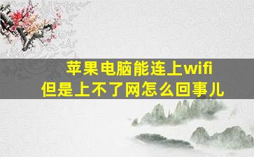 苹果电脑能连上wifi但是上不了网怎么回事儿