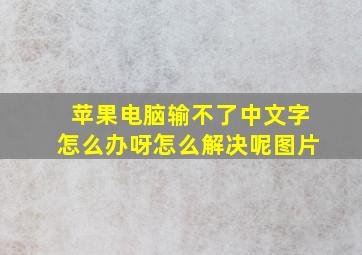 苹果电脑输不了中文字怎么办呀怎么解决呢图片