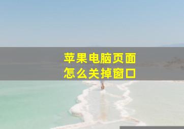 苹果电脑页面怎么关掉窗口