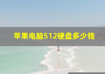 苹果电脑512硬盘多少钱