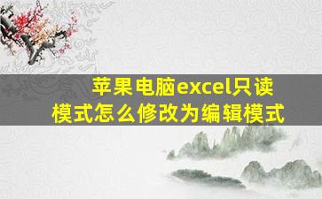 苹果电脑excel只读模式怎么修改为编辑模式