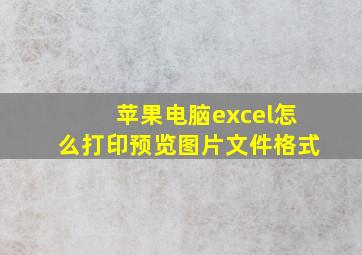 苹果电脑excel怎么打印预览图片文件格式