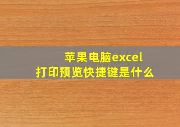 苹果电脑excel打印预览快捷键是什么