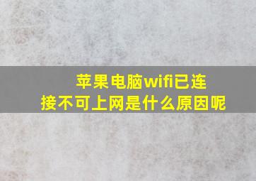 苹果电脑wifi已连接不可上网是什么原因呢