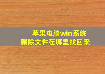 苹果电脑win系统删除文件在哪里找回来