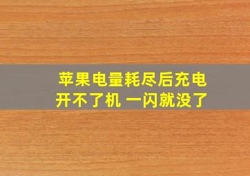 苹果电量耗尽后充电开不了机 一闪就没了