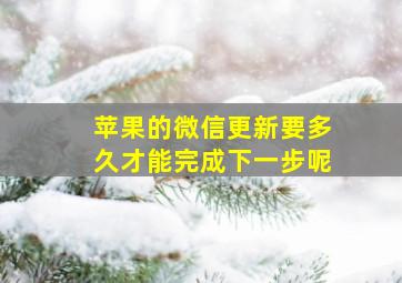 苹果的微信更新要多久才能完成下一步呢