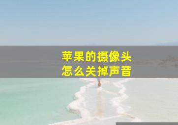 苹果的摄像头怎么关掉声音