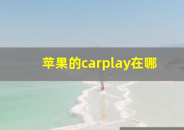 苹果的carplay在哪