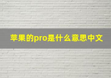 苹果的pro是什么意思中文