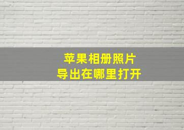 苹果相册照片导出在哪里打开