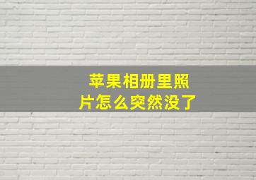 苹果相册里照片怎么突然没了