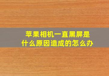 苹果相机一直黑屏是什么原因造成的怎么办