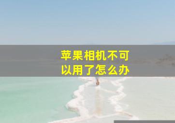 苹果相机不可以用了怎么办