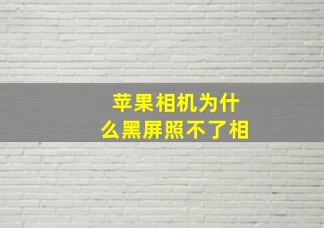 苹果相机为什么黑屏照不了相