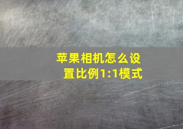 苹果相机怎么设置比例1:1模式