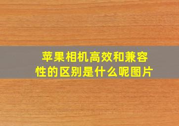 苹果相机高效和兼容性的区别是什么呢图片