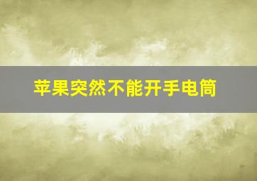 苹果突然不能开手电筒