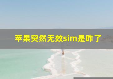 苹果突然无效sim是咋了