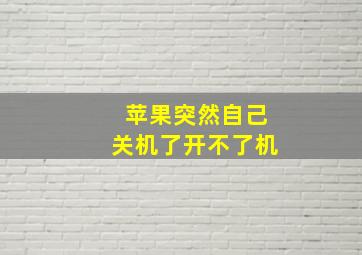 苹果突然自己关机了开不了机