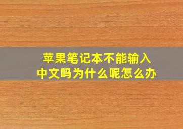 苹果笔记本不能输入中文吗为什么呢怎么办