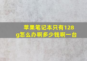 苹果笔记本只有128g怎么办啊多少钱啊一台