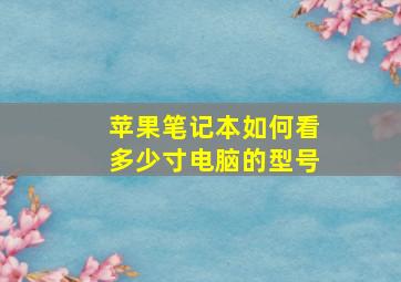 苹果笔记本如何看多少寸电脑的型号