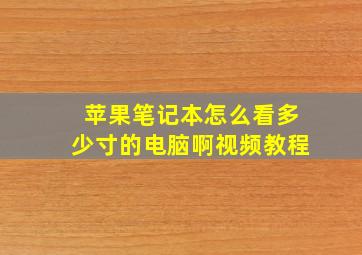 苹果笔记本怎么看多少寸的电脑啊视频教程