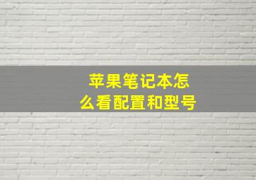 苹果笔记本怎么看配置和型号