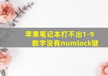 苹果笔记本打不出1-9数字没有numlock键