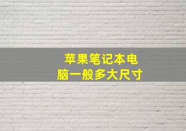 苹果笔记本电脑一般多大尺寸