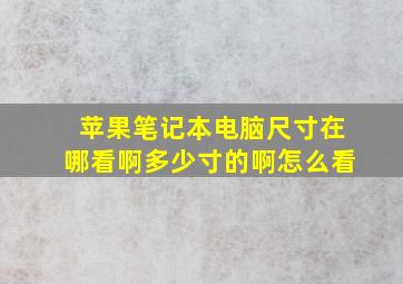 苹果笔记本电脑尺寸在哪看啊多少寸的啊怎么看