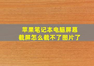 苹果笔记本电脑屏幕截屏怎么截不了图片了