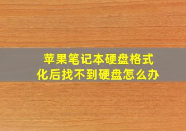 苹果笔记本硬盘格式化后找不到硬盘怎么办