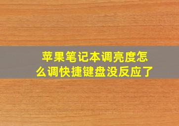 苹果笔记本调亮度怎么调快捷键盘没反应了