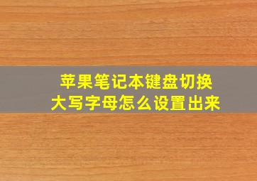 苹果笔记本键盘切换大写字母怎么设置出来