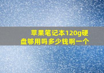 苹果笔记本120g硬盘够用吗多少钱啊一个