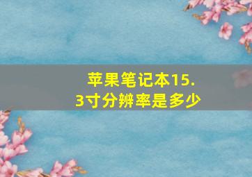 苹果笔记本15.3寸分辨率是多少