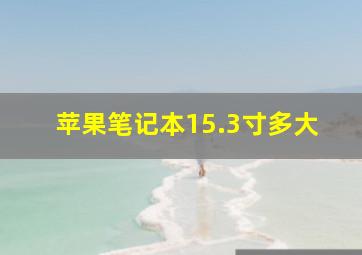 苹果笔记本15.3寸多大